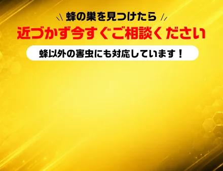 蜂の巣を見つけたら近づかず今すぐご相談ください／蜂以外の害虫にも対応しています！